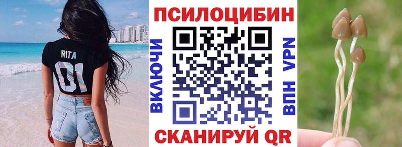 нарко площадка телеграм  Шатура  Псилоцибиновые грибы мухоморы 